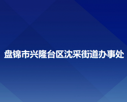 盤錦市興隆臺(tái)區(qū)沈采街道辦事處