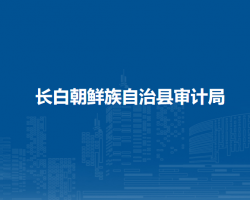 長白朝鮮族自治縣審計(jì)局