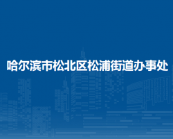 哈爾濱市松北區(qū)松浦街道辦事處