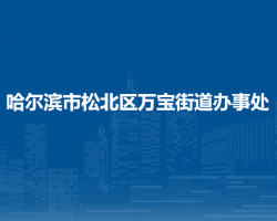 哈爾濱市松北區(qū)萬寶街道辦事處