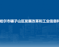 齊齊哈爾市碾子山區(qū)發(fā)展改革和工業(yè)信息科技局