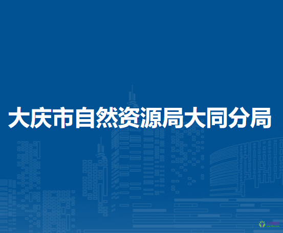 大慶市自然資源局大同分局