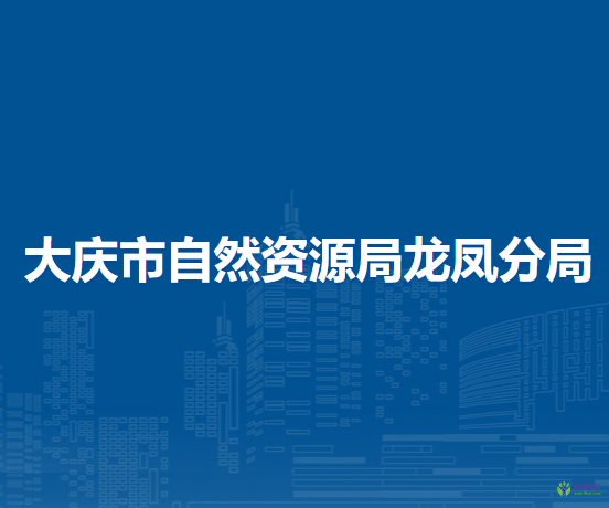 大慶市自然資源局龍鳳分局