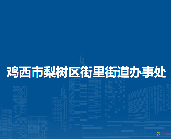 雞西市梨樹區(qū)街里街道辦事處