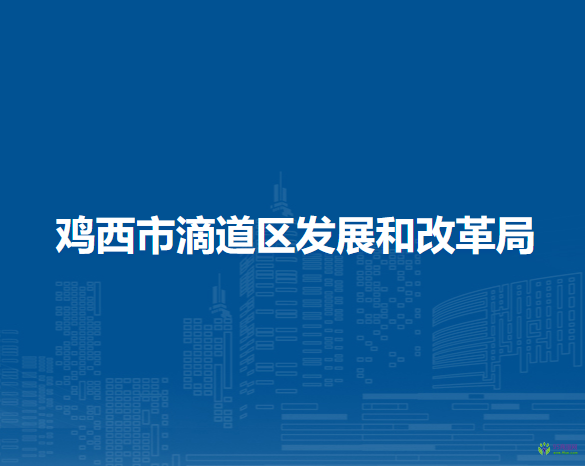 雞西市滴道區(qū)發(fā)展和改革局