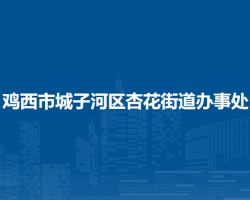 雞西市城子河區(qū)杏花街道辦事處