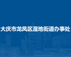 大慶市龍鳳區(qū)濕地街道辦事處