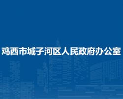 雞西市城子河區(qū)人民政府辦公室"