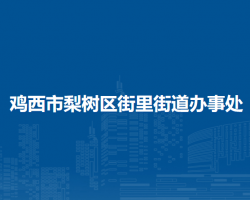 雞西市梨樹區(qū)街里街道辦事處