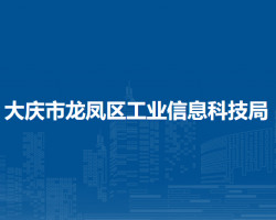 大慶市龍鳳區(qū)工業(yè)信息科技