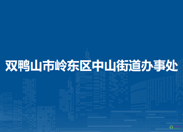 雙鴨山市嶺東區(qū)中山街道辦事處