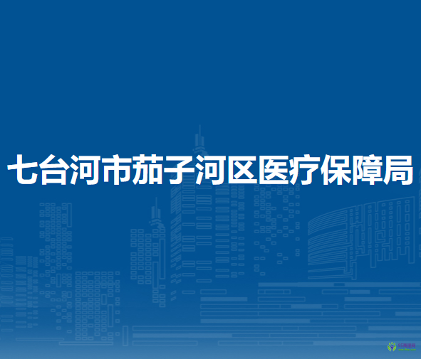 七臺河市茄子河區(qū)醫(yī)療保障局