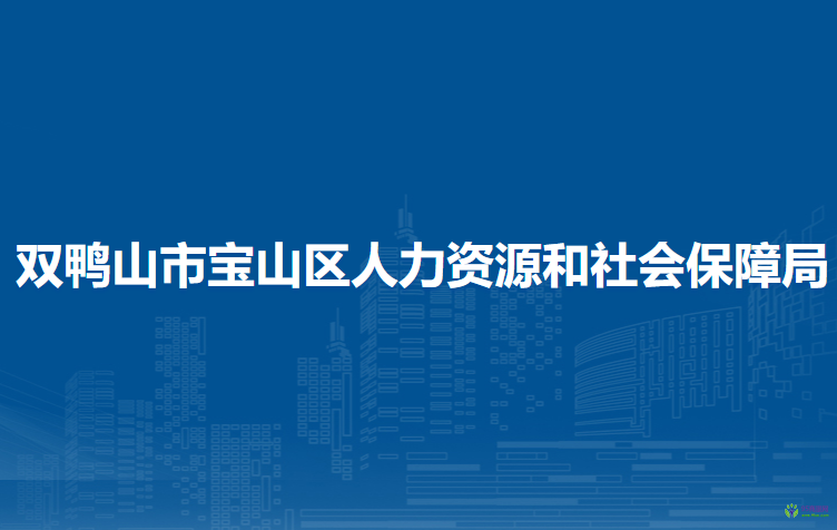 雙鴨山市寶山區(qū)人力資源和社會保障局