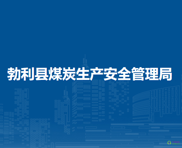 勃利縣煤炭生產(chǎn)安全管理局