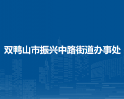 雙鴨山市四方臺區(qū)振興中路街道辦事處