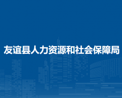 友誼縣人力資源和社會保障