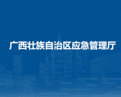 廣西壯族自治區(qū)應(yīng)急管理廳