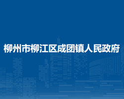 柳州市柳江區(qū)成團(tuán)鎮(zhèn)人民政府