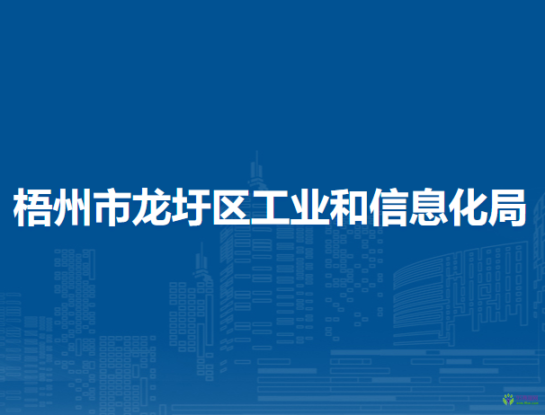 梧州市龍圩區(qū)工業(yè)和信息化局