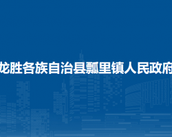 龍勝各族自治縣瓢里鎮(zhèn)人民政府