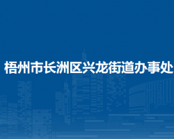 梧州市長(zhǎng)洲區(qū)興龍街道辦事處