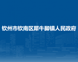 欽州市欽南區(qū)犀牛腳鎮(zhèn)人民政府