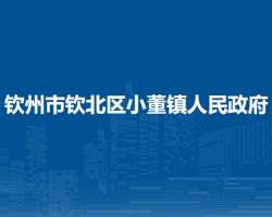 欽州市欽北區(qū)小董鎮(zhèn)人民政