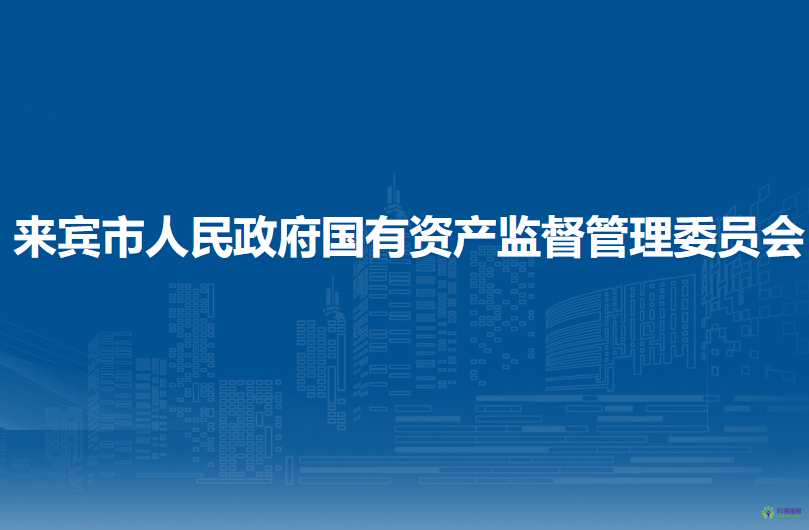 來(lái)賓市人民政府國(guó)有資產(chǎn)監(jiān)督管理委員會(huì)