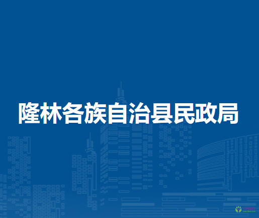 隆林各族自治縣民政局