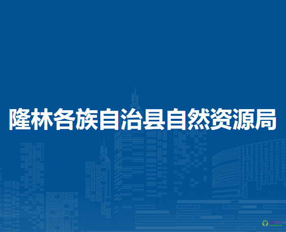 隆林各族自治縣自然資源局