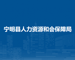 寧明縣人力資源和社會保障局